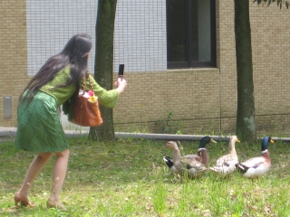 ���̎��ɃJ���������Ďʐ^���B�낤�Ƃ͂��Ⴎ�ȁA��ߎq